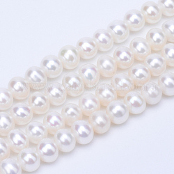 Brins de perles de culture d'eau douce naturelles, ronde, floral blanc, 4~4.5mm, Trou: 0.6~0.8mm, Environ 81~83 pcs/chapelet, 14.45 pouce ~ 15.08 pouces (36.7~38.3 cm)