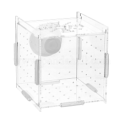 Caja de cría de peces de plástico, peces desove eclosión sala de maternidad, con ventosa, Claro, 100x100x100mm