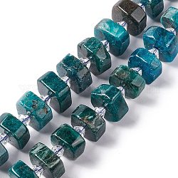 Chapelets de perles en apatite naturelle, facette, plat rond, 14x14x5~8.5mm, Trou: 1.8mm, Environ 30 pcs/chapelet, 14.76 pouce (37.5 cm)