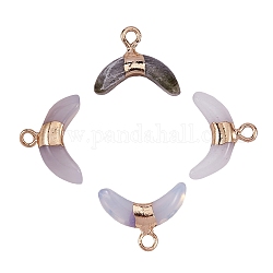 4Pcs 4 Style Mixed Gemstone Pendants, with Golden Brass Findings, Double Horn/Crescent Moon, 12x16x4mm, Hole: 1.5mm, 1pc/style