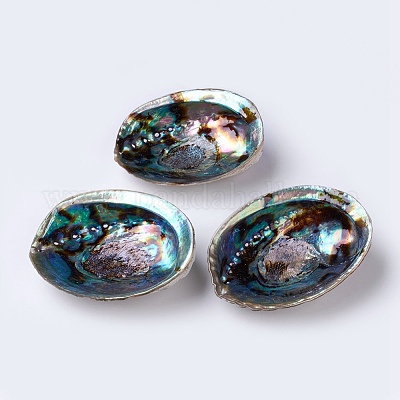 Natürliche Abalone-Muschel / Paua-Muscheldekoration&nbsp;SSHEL-K024-01A-1