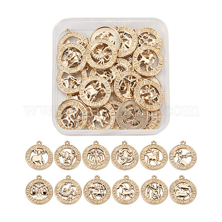 Accessoires de pendentif de bijoux en alliage de zinc fashewelry FIND-FW0001-03A-1