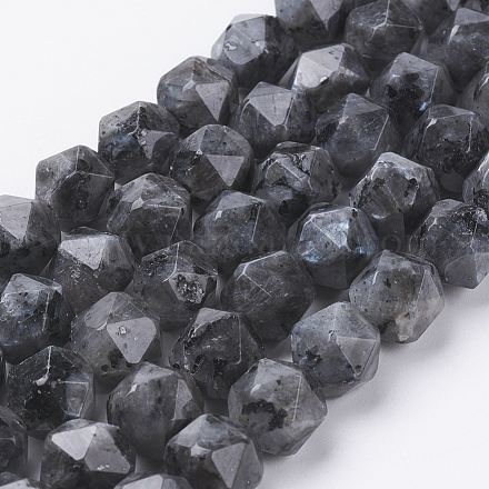 Natural Black Larvikite Beads Strands G-J372-17-10mm-1