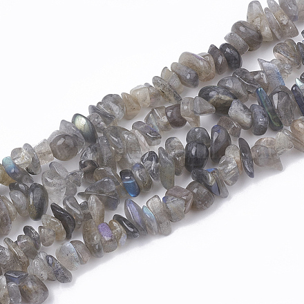 Natural Labradorite Beads Strands G-T064-48-1