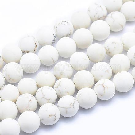 Frosted Natural Howlite Beads Strands TURQ-G148-10-8mm-1