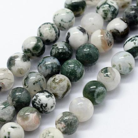Chapelets de perles en agate d'arbre naturelle G-I199-03-6mm-1