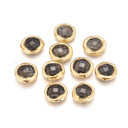 Perles naturelles de labradorite G-F657-02-1