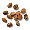 Natural Picture Jasper Cabochons, Oval, 6x4x2~3mm