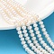 Natural Cultured Freshwater Pearl Beads Strands, Grade 5A, Rondelle, PeachPuff, 5~5.5mm, Hole: 0.7mm, about 86pcs/strand, 14.96 inch(38cm)