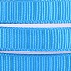 Polyester Grosgrain Ribbon SRIB-D014-A-373-2