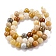 Natural Jade Beads Strands G-O199-04C-2