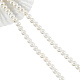 Perlen ca. 94 Stück natürliche Muschelperle SHEL-WH0001-009B-2