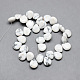 Natural Howlite Gemstone Beads Strands G-T005-17-2
