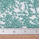 MIYUKI Delica Beads X-SEED-J020-DB1567-4