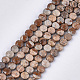 Natural Picture Jasper Beads Strands X-G-S354-20-1