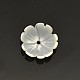 Blume natürlichen weißen Muschel Perlen SSHEL-N011-09-1