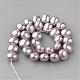Shell Pearl Beads Strands PEAR-R064-79-2