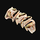 Freshwater Shell Beads Stretch Bracelets BJEW-Q655-01-3