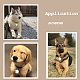 Sunnyclue 1 Box 25 Stück Stempel-Anhänger für Hunde ALUM-SC0001-07-5