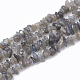 Natural Labradorite Beads Strands G-T064-48-1