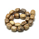 Natural Picture Jasper Beads Strands G-R433-03-2