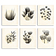 SUPERDANT 6 Styles Unframed Plants Canvas Wall Art Minimalistic Wall Decor Monstera Deliciosa Prints Aesthetic Floral Vintage Style Paintings Artwork for Bathroom Living Room Bedroom Office Kitchen AJEW-WH0173-096-1