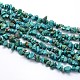Synthetic Turquoise Beads Strands G-O049-C-02-2