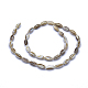 Brins de perles de coquillage naturel teint BSHE-E023-04A-2
