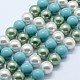 Chapelets de perles de coquille BSHE-K053-04-8mm-10-1