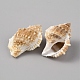 Natural Spiral Shell Beads BSHE-PH0001-03-2