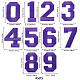 ワッペンにgorgecraftのコンピューター化された刺繡布アイロン  マスクと衣装のアクセサリー  アップリケ  数0~9  パープル  46.5~49.5x22.5~40x1.5mm  10個/セット  4セット /バッグ DIY-GF0002-15C-2