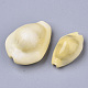 Perles de coquillage cauri naturelles X-SSHEL-N034-A-26-2