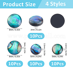 40 pezzo di 4 stili di cabochon di conchiglia di abalone naturale/paua con smalto&nbsp;BSHE-HS0001-02