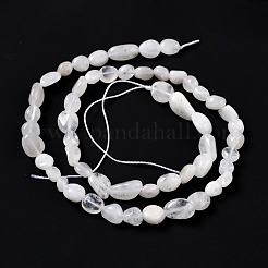 Бусины из натурального радужного лунного камня&nbsp;G-G018-48