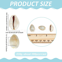 Coquille naturelle&nbsp;SSHEL-PH0001-36A