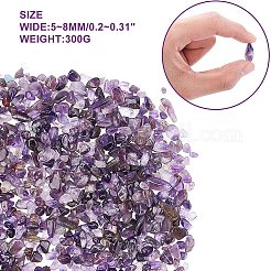 Natürliche Amethyst-Chips-Perlen&nbsp;G-GA0001-19