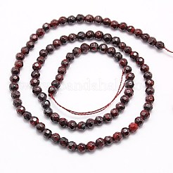 Perline Bloodstone naturale fili&nbsp;G-G545-34