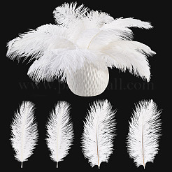 20 шт. 2 стиля аксессуаров для костюма из страусиных перьев&nbsp;FIND-TA0005-96