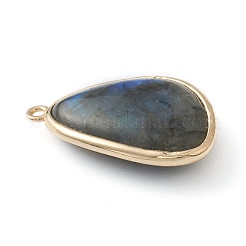 Природные подвески лабрадорита&nbsp;G-B009-05G