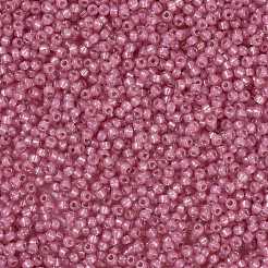 Cuentas de rocailles redondas miyuki&nbsp;SEED-JP0009-RR0556