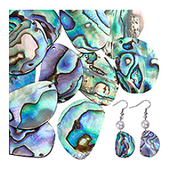 12 шт. подвески из натуральной ракушки пауа&nbsp;SHEL-PH0001-66