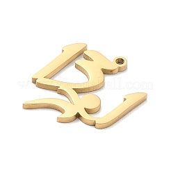 Pendentifs en acier inoxydable 304&nbsp;STAS-K287-02G