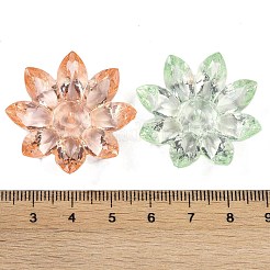 Прозрачные акриловые бусины&nbsp;OACR-H118-02