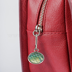 6 шт. нержавеющая сталь с акриловой подвеской-молнией&nbsp;HJEW-LP00011