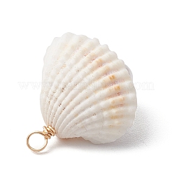 Подвески из натуральных ракушек&nbsp;PALLOY-JF03551