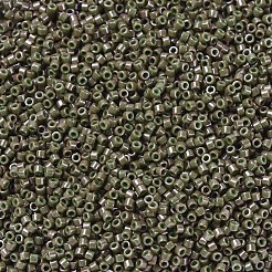 Miyuki Delica Perlen&nbsp;X-SEED-J020-DB0657