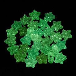 Светящиеся прозрачные акриловые бусины&nbsp;LACR-S001-07