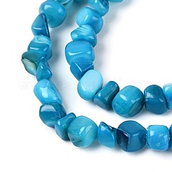 Eau douce naturelle de coquillage perles brins&nbsp;SHEL-N037-04I