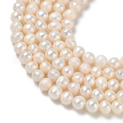 Brins de perles de culture d'eau douce naturelles&nbsp;PA-CBAC463-40