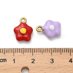 Подвески из нержавеющей стали 304 с эмалью&nbsp;STAS-K306-54G